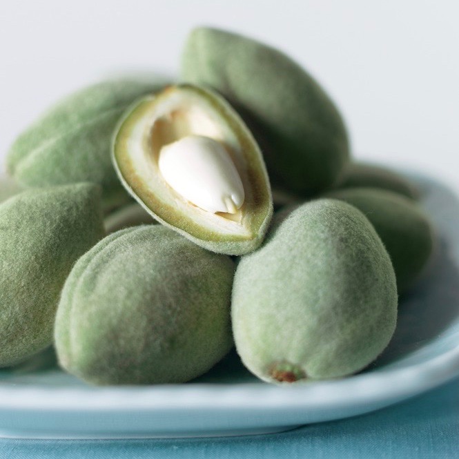 Fresh almonds best sale
